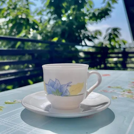 Prijeten Prostoren Apartma V Hisi Apartment