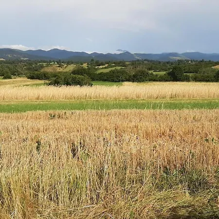 Prijeten Prostoren Apartma V Hisi Pivka