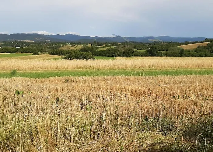 Prijeten Prostoren Apartma V Hisi بيفكا